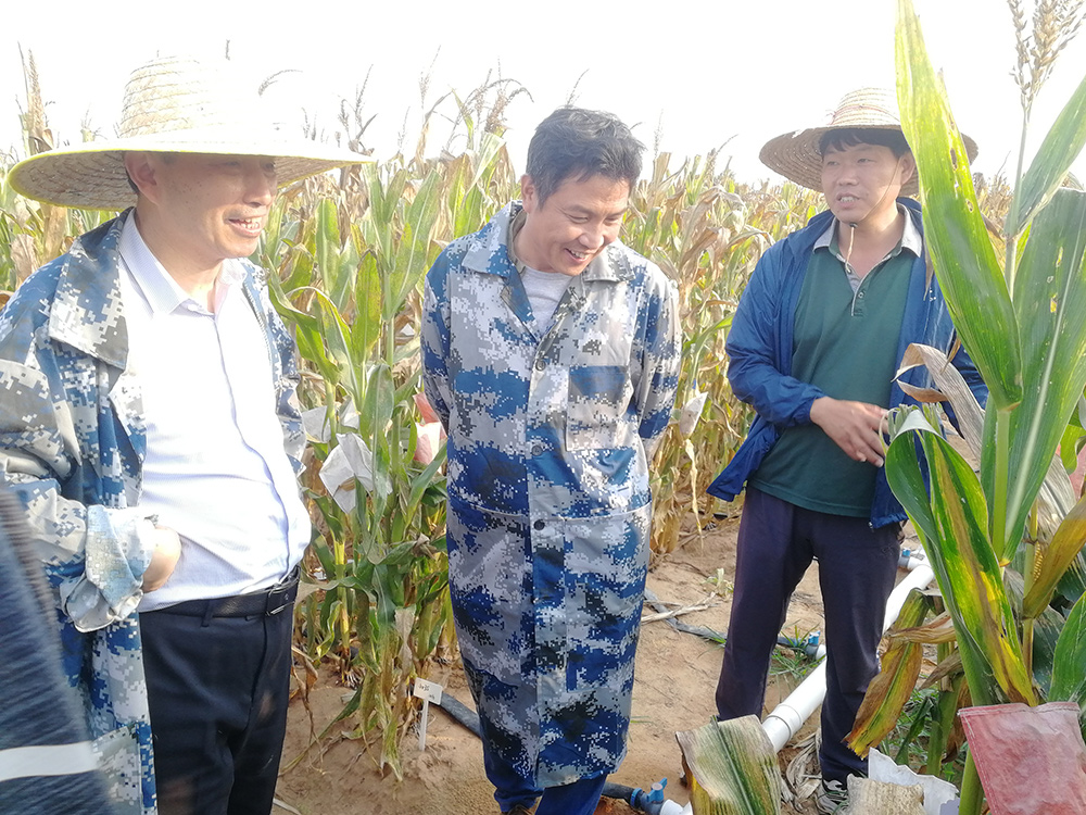 1-29999js金沙老品牌种业与安徽农业大学在玉米南繁基地考察交流.jpg