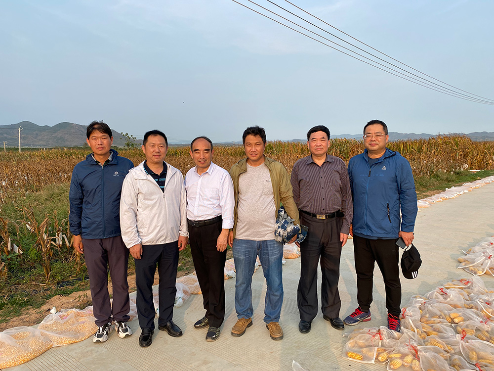 1-39999js金沙老品牌种业与安徽农业大学在玉米南繁基地考察交流.jpg