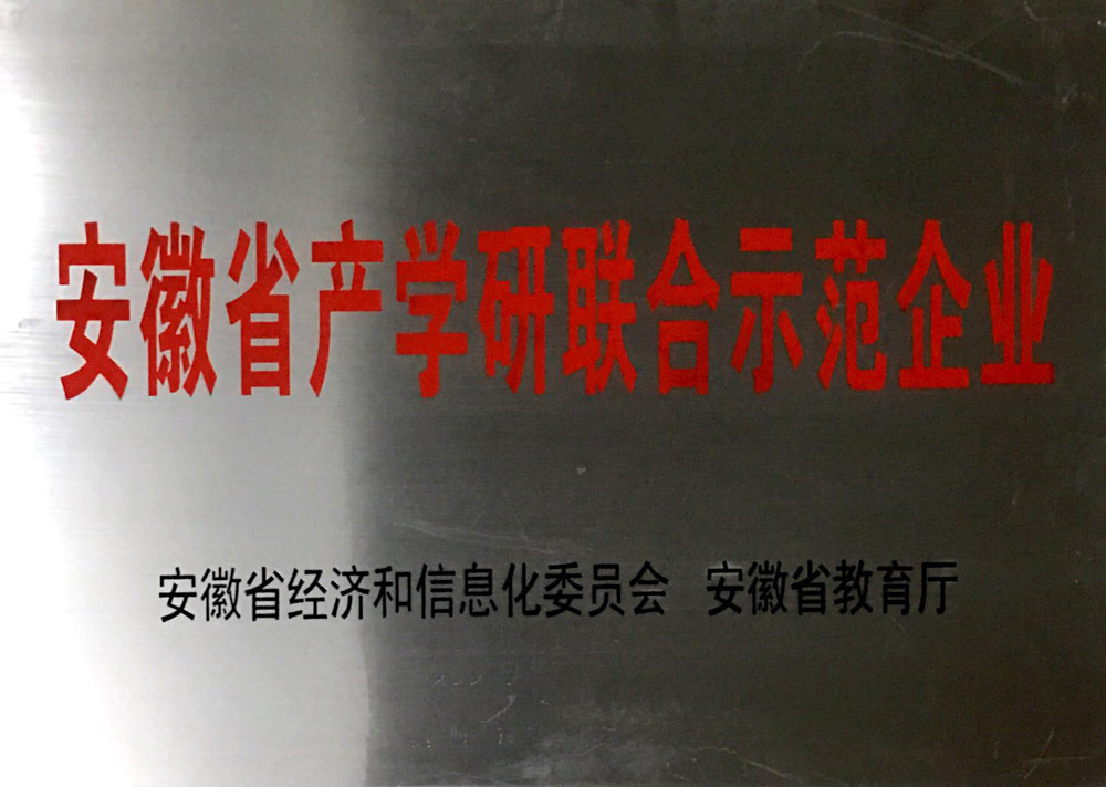 13--安徽省产学研联合示范企业.jpg