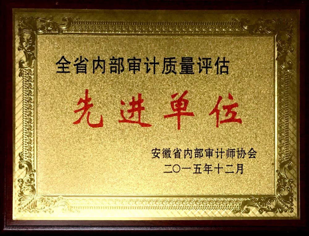 03-全省内部审计质量评估先进单位-2015.jpg