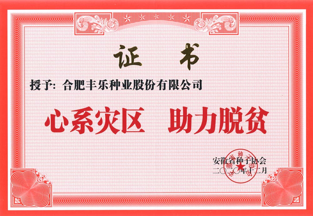 05--心系灾区、助力脱贫（证书）-2020.jpg