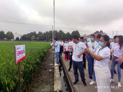 1-3霍邱县新型农民培训班走进9999js金沙老品牌种业肥西综合试验基地_副本.jpg