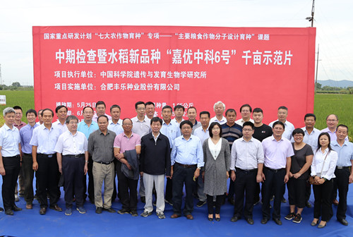 2-李家洋、谢华安、万建民院士等专家考察9999js金沙老品牌种业“嘉优中科6号”千亩示范片_副本.jpg