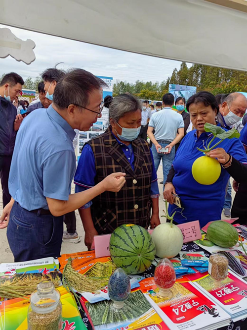 向瓜农介绍瓜菜新品种_副本.png