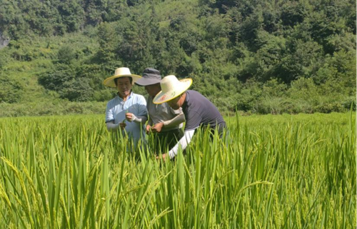 新闻稿3   配图_副本.png