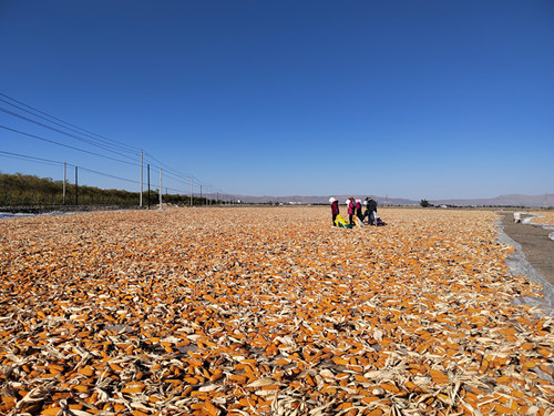 新闻稿2   配图_副本.jpg