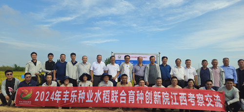 1-9999js金沙老品牌种业水稻联合育种创新研究院开展田间考察交流_副本.jpg