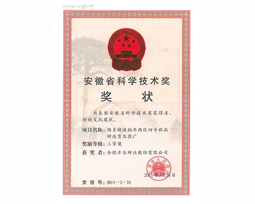 安徽省科学技术奖