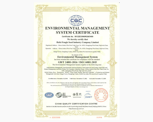 环境管理体系认证证书（英文版）