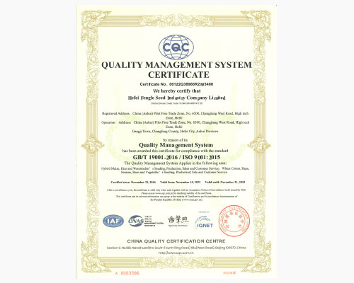质量管理体系认证证书（英文版）