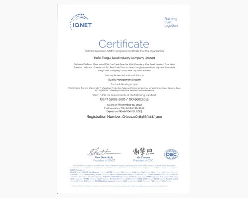 质量管理体系证书（国际版）