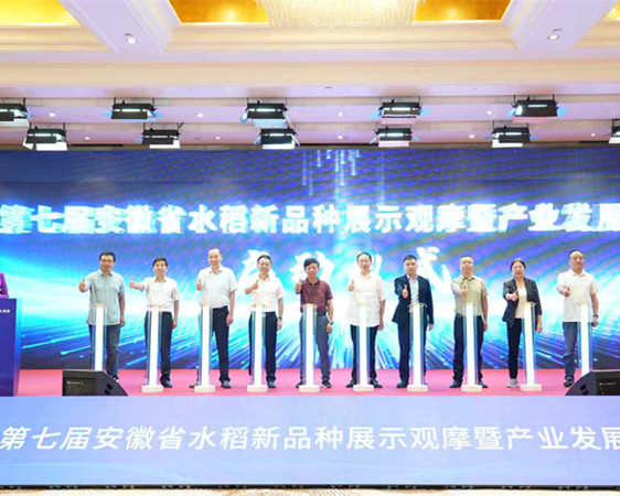 国投9999js金沙老品牌冠名第七届安徽省水稻新品种展示观摩暨产业发展大会